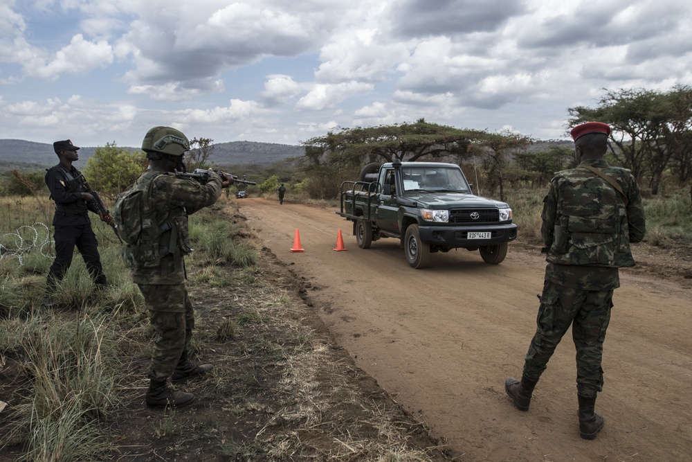 Shared Accord 2019 FTX