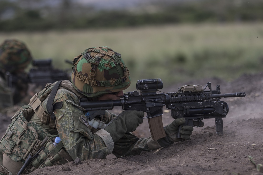 Shared Accord 2019 Live Fire Exercise