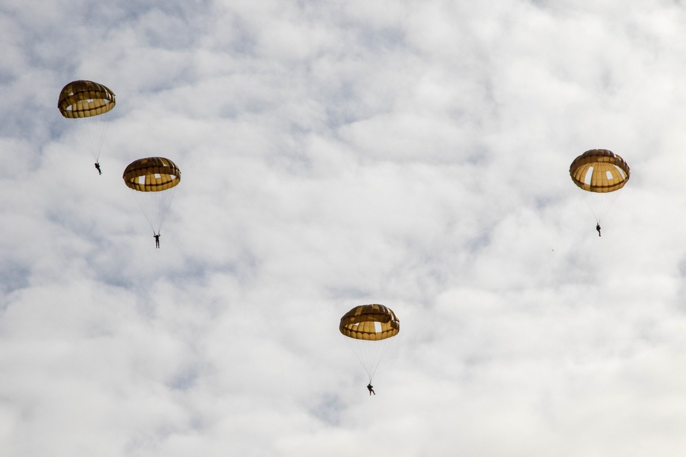 WWII veterans awarded the Order of William during the 75th anniversary of Operation Market Garden