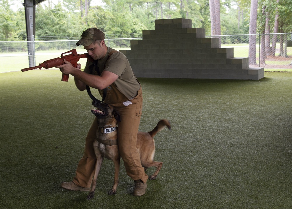 K-9 handler achieves dream, expands MWD knowledge