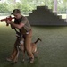 K-9 handler achieves dream, expands MWD knowledge