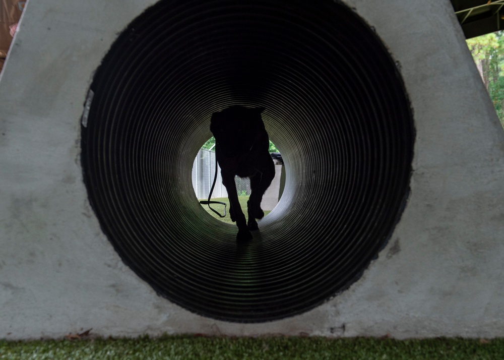 K-9 handler achieves dream, expands MWD knowledge