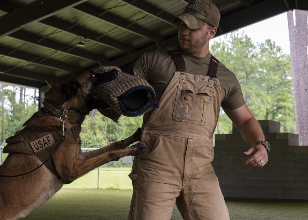 K-9 handler achieves dream, expands MWD knowledge