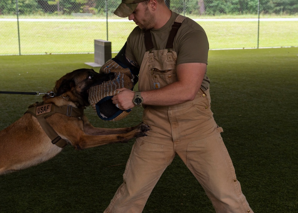 K-9 handler achieves dream, expands MWD knowledge