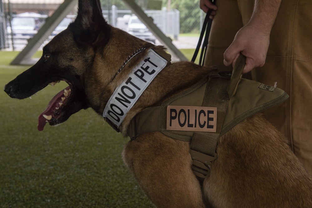 K-9 handler achieves dream, expands MWD knowledge