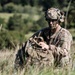 Saber Junction 2019: 173rd Infantry Airborne Brigade Conducts Joint Forcible Entry Training