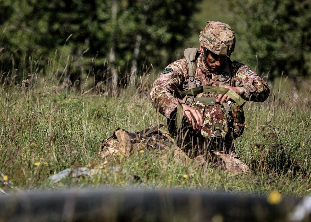 Saber Junction 2019: 173rd Infantry Airborne Brigade Conducts Joint Forcible Entry Training