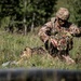 Saber Junction 2019: 173rd Infantry Airborne Brigade Conducts Joint Forcible Entry Training