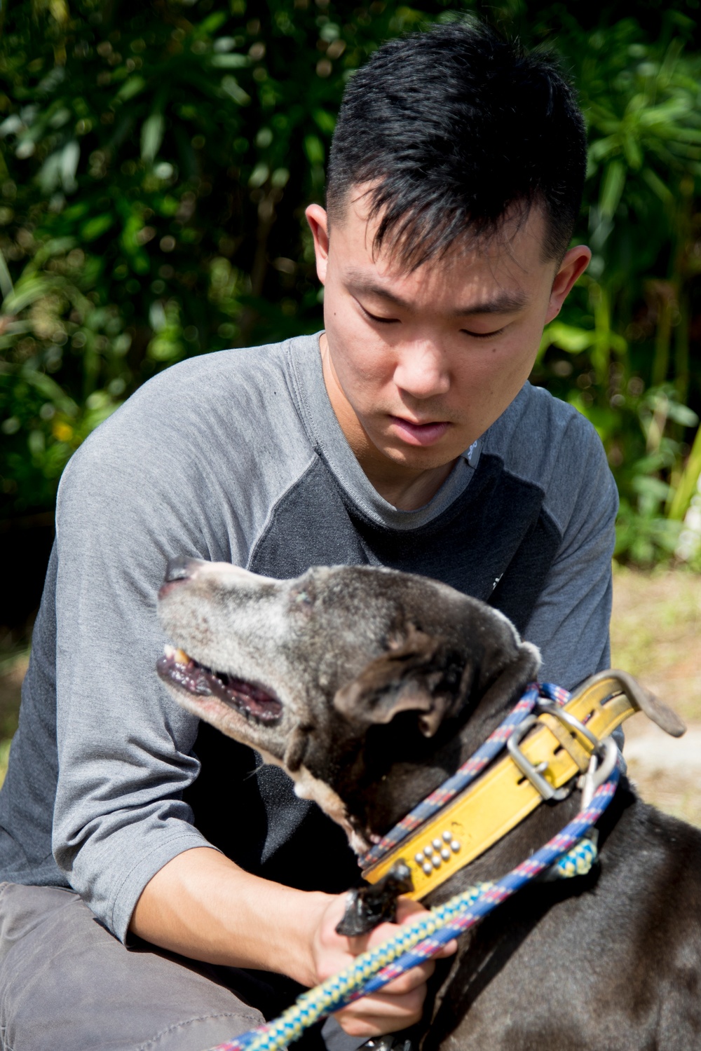 Marines volunteer at no-kill animal shelter in Ishikawa Village