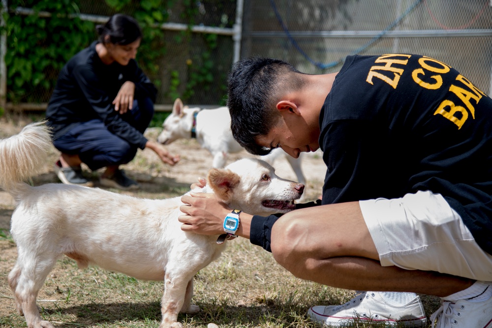 Marines volunteer at no-kill animal shelter in Ishikawa Village