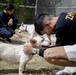 Marines volunteer at no-kill animal shelter in Ishikawa Village