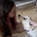 Marines volunteer at no-kill animal shelter in Ishikawa Village