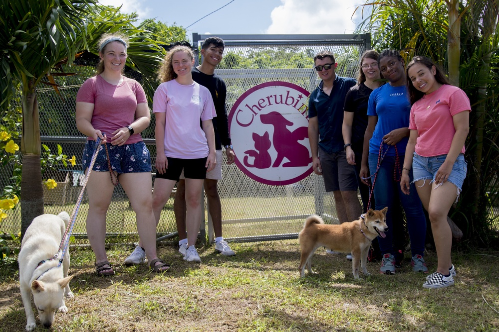Marines volunteer at no-kill animal shelter in Ishikawa Village
