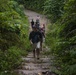 DPAA visit Hamburger Hill, Vietnam