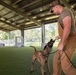 K-9 handler achieves dream, expands MWD knowledge