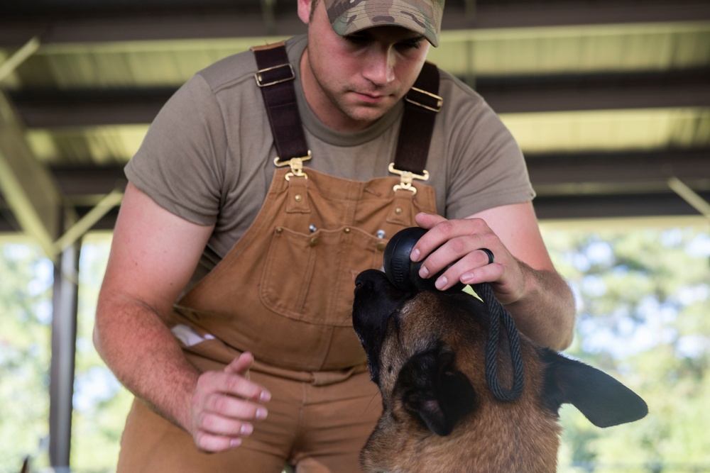 K-9 handler achieves dream, expands MWD knowledge