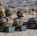 Marines from various MAG-39 squadrons conduct all arms familiarization range