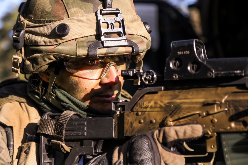 A Polish soldier provides security during Saber Junction 19