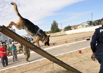 Canine trainers bring experience, compassion to Mongolian disaster response exercise
