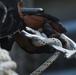 48th CES Participates in Search and Rescue Training