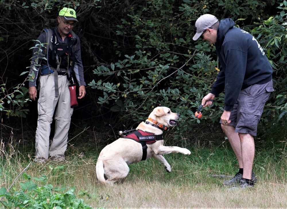 The Nose Knows: NHB Sailors Help Train Search and Rescue Dogs