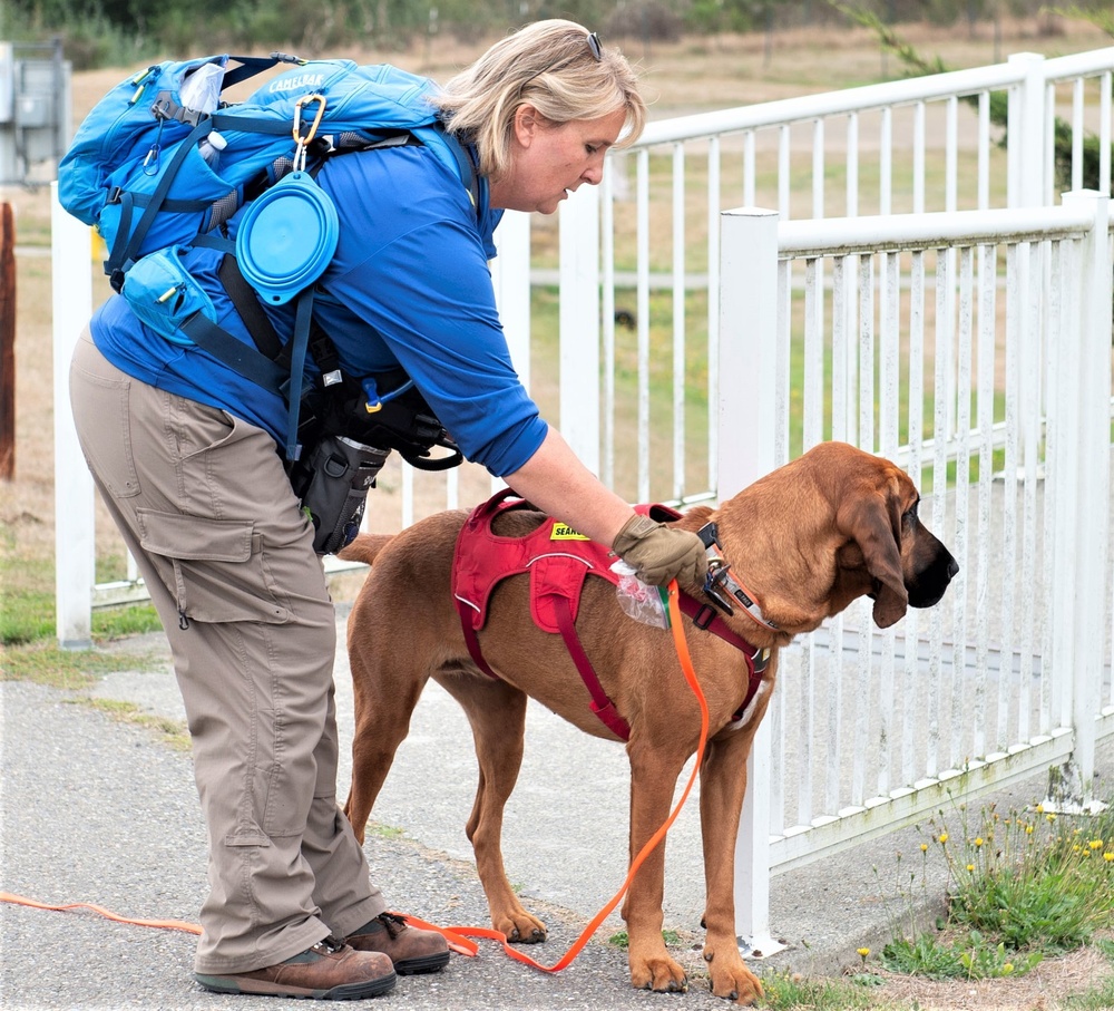 The Nose Knows: NHB Sailors Help Train Search and Rescue Dogs
