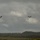 Four V-22 Osprey tiltrotor aircraft are flying in a loose formation over what appears to be a tropical airfield or landing zone. The aircraft are captured against an overcast, stormy sky with dense cloud cover. A tree-covered hillside and palm trees are visible in the background, suggesting a tropical or Pacific island location.