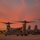 The image shows military tiltrotor aircraft, specifically MV-22 Osprey aircraft, parked on a flight line at dusk or dawn with a dramatic orange and pink sky in the background. Palm trees are visible on the horizon, suggesting a tropical location. At least one ground crew member is visible near the foreground aircraft, which bears the number '05'.