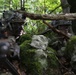 U.S. Soldiers scan their sector of fire during Saber Junction 19
