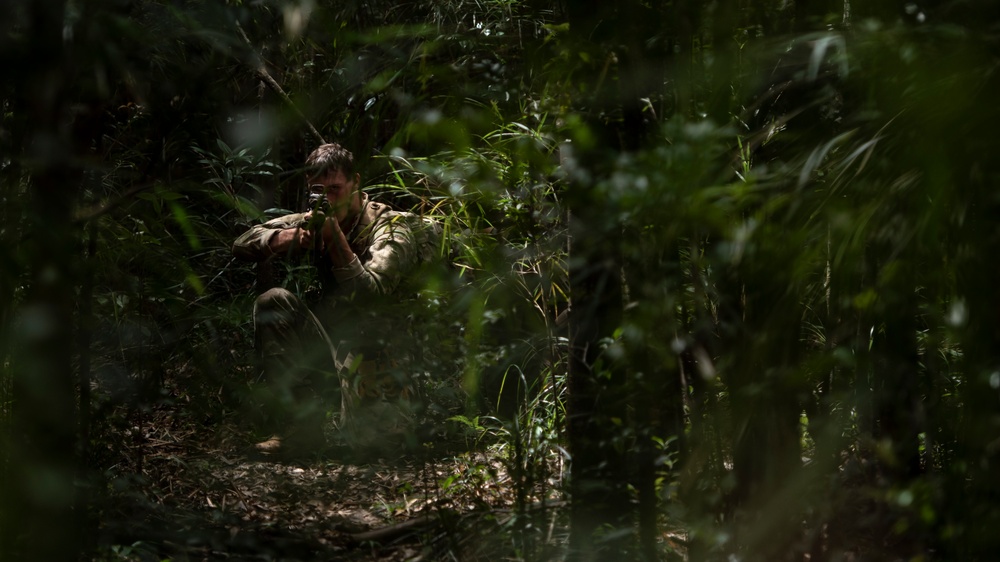 Welcome to the Jungle