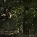 Welcome to the Jungle