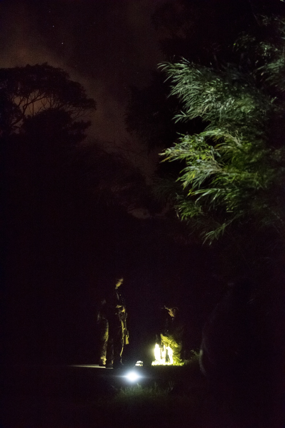 Welcome to the Jungle