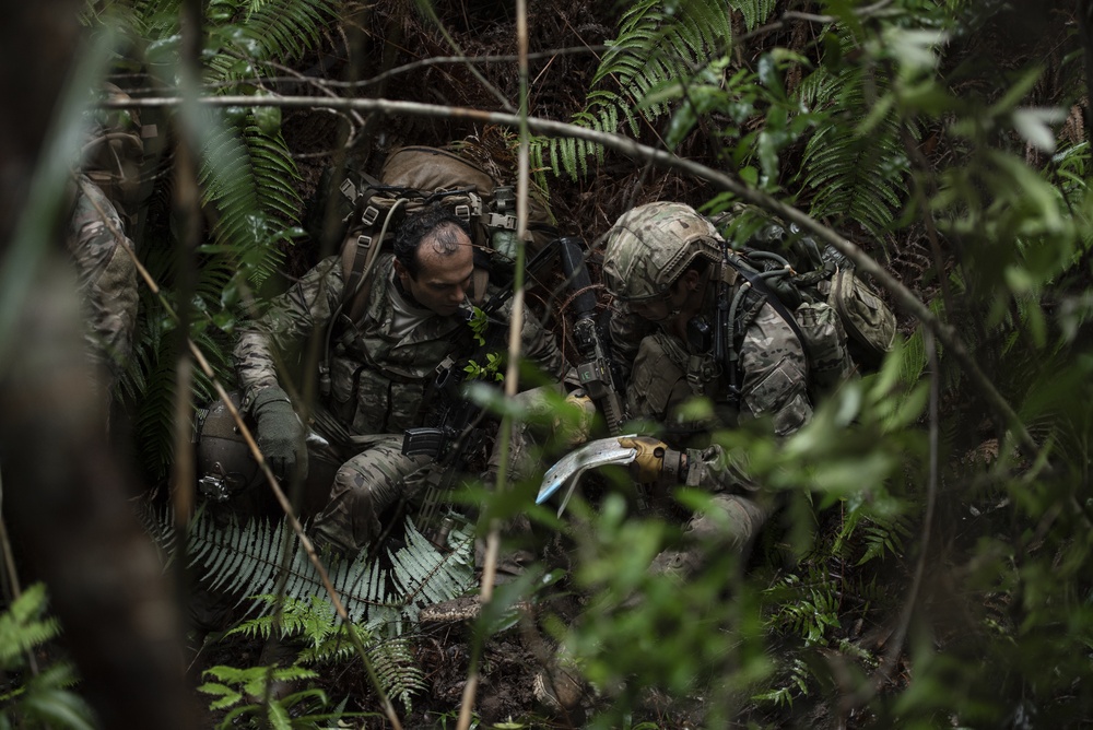 Welcome to the Jungle