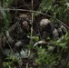 Welcome to the Jungle