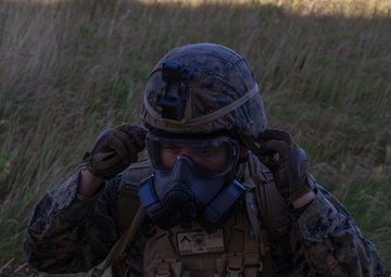 Prepared for Anything