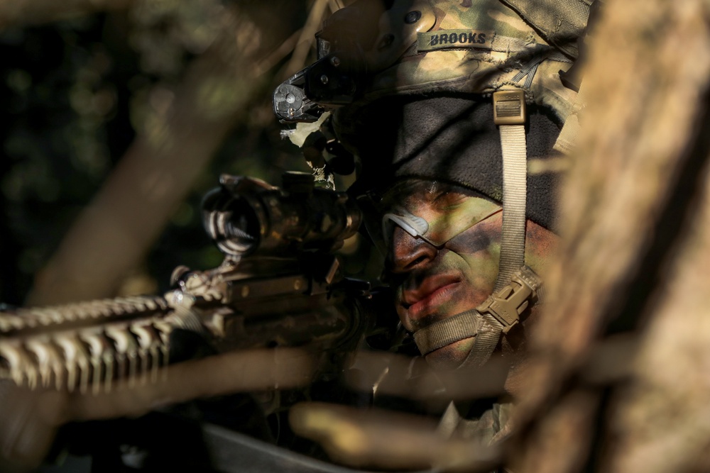 U.S. Army Pfc. Kevin Brooks scans his sector of fire during Saber Junction 19