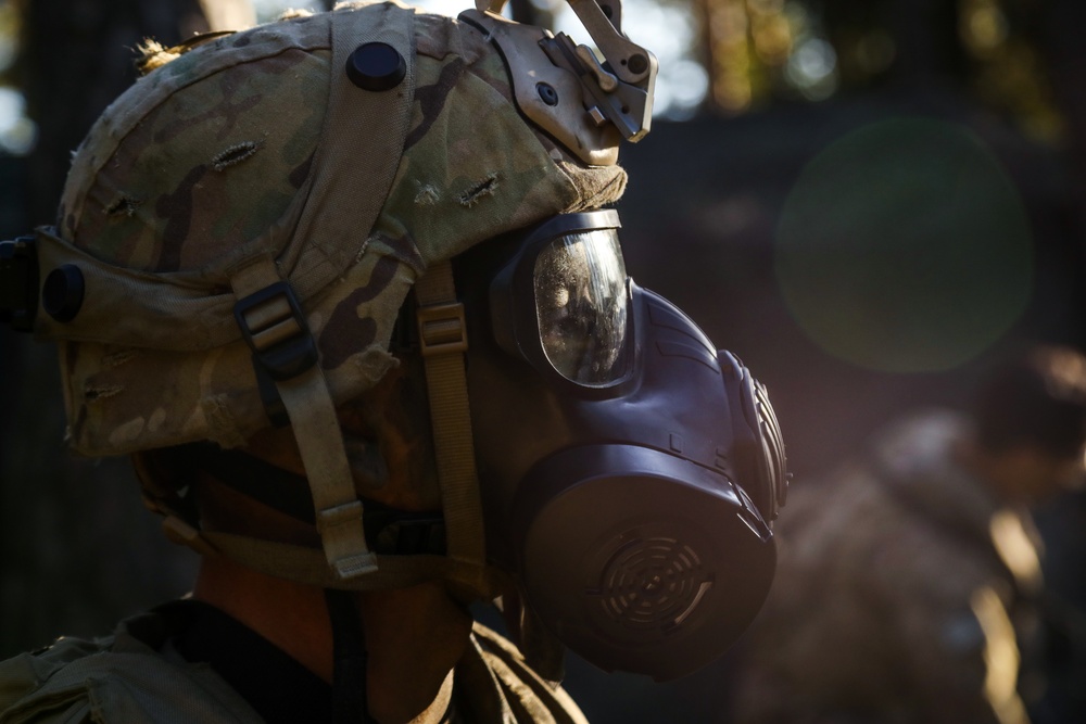 A U.S. Soldier dons his gas mask during Saber Junction 19