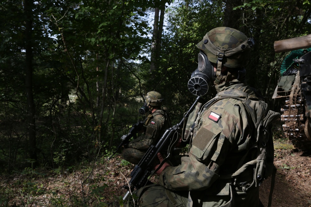 Polish Soldiers provide security during Saber Junction 19