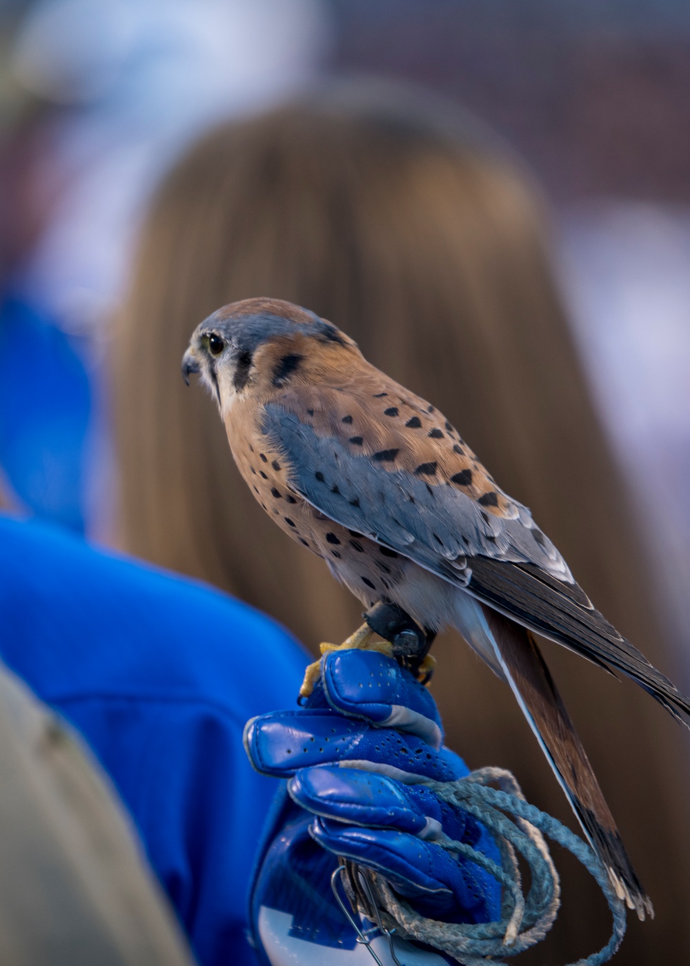 Air Force Academy plays Boise State
