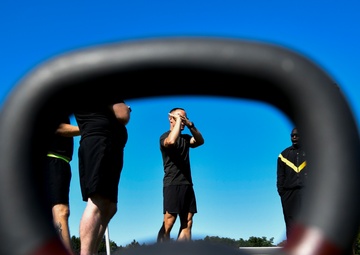 Will the real Army fitness test please stand up?