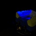 Dental Lab Technician Fabricates Custom Appliances