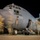 179th AW Increases Interoperability Through Saber Junction 2019 179th AW Increases Interoperability Through Saber Junction 2019