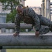 MCAS Iwakuni Marines obstacle course pt