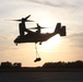 SPMAGTF-CR-AF executes day, night external lift training
