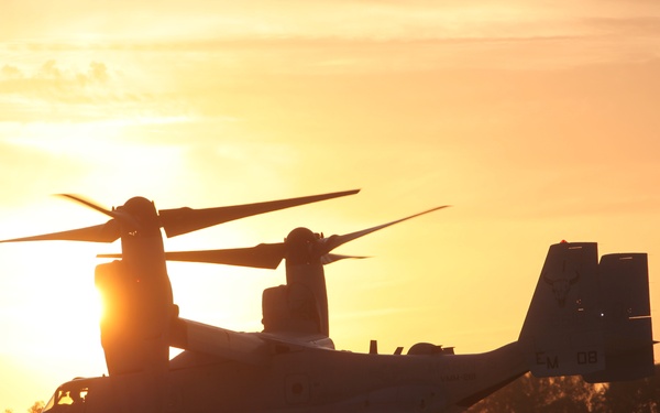 SPMAGTF-CR-AF executes day, night external lift training