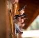 2019 Invitational Commander &amp; Chief Pistol Shooting Competition