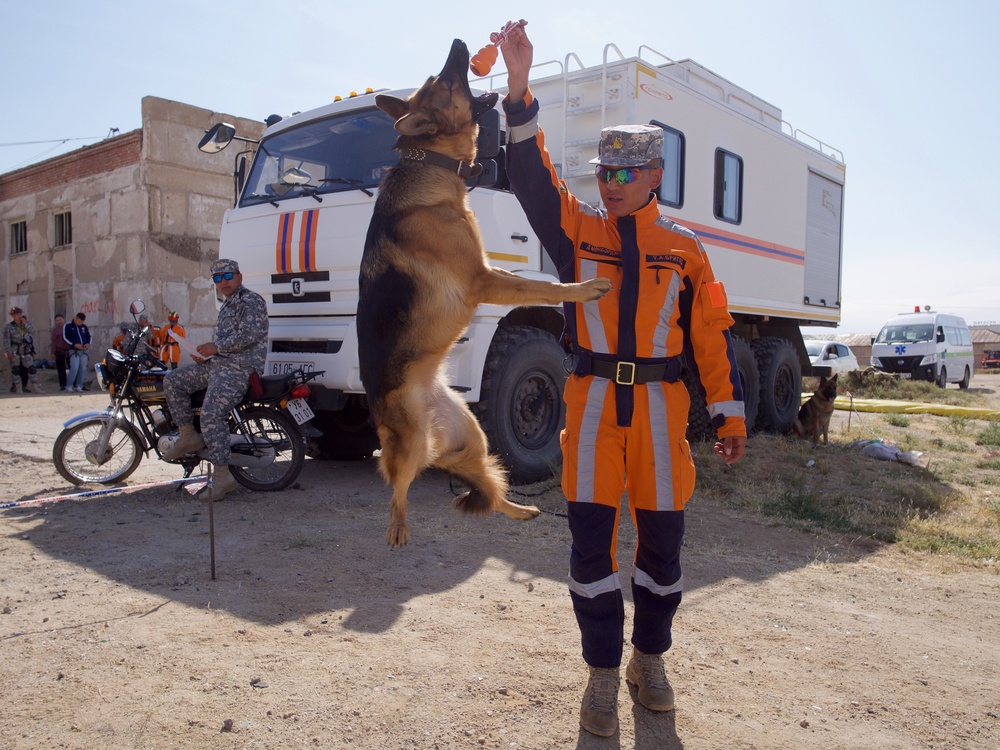 Mongolian agencies join forces for collapsed-structure training