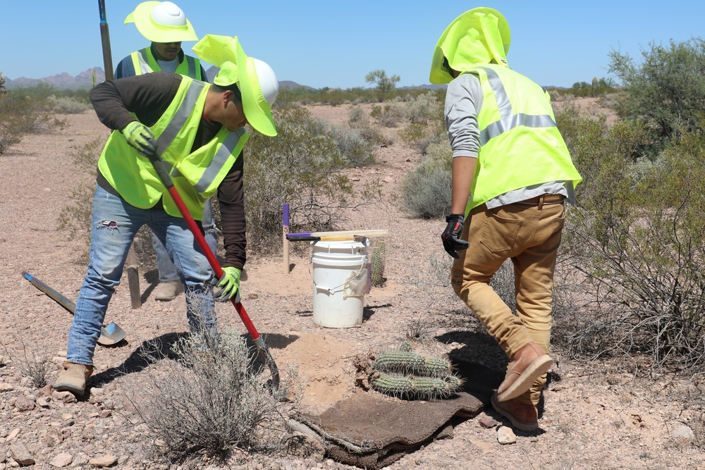 USACE Task Force Barrier relocates cacti in Organ Pipe Cactus National Monument