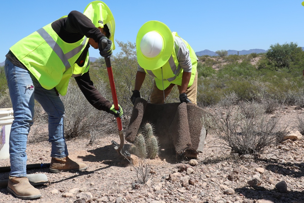 USACE Task Force Barrier relocates cacti in Organ Pipe Cactus National Monument