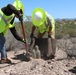 USACE Task Force Barrier relocates cacti in Organ Pipe Cactus National Monument